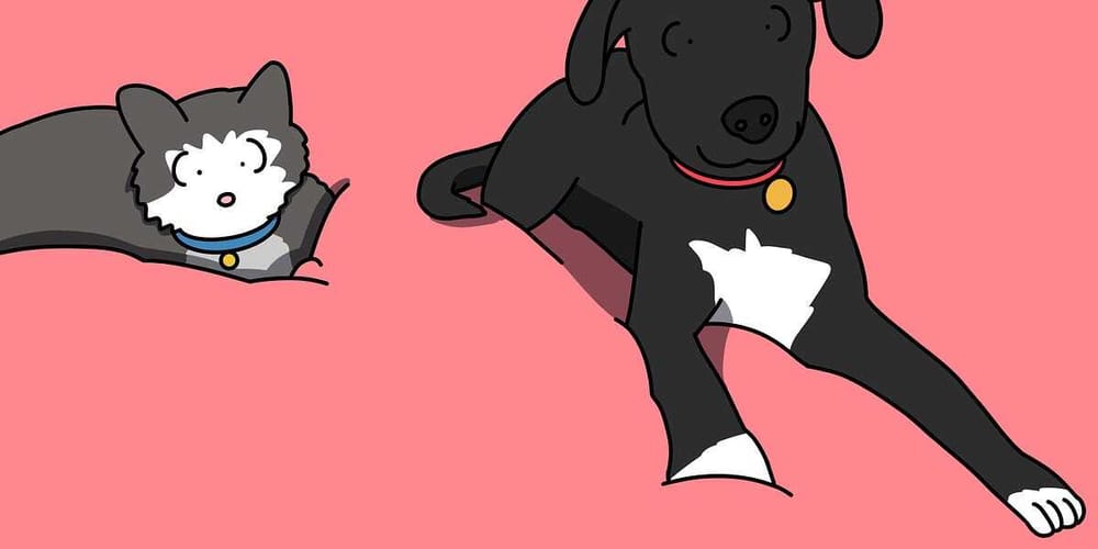 It's the International Break, here are your pets