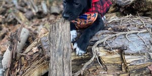 Product Suggestion Time!