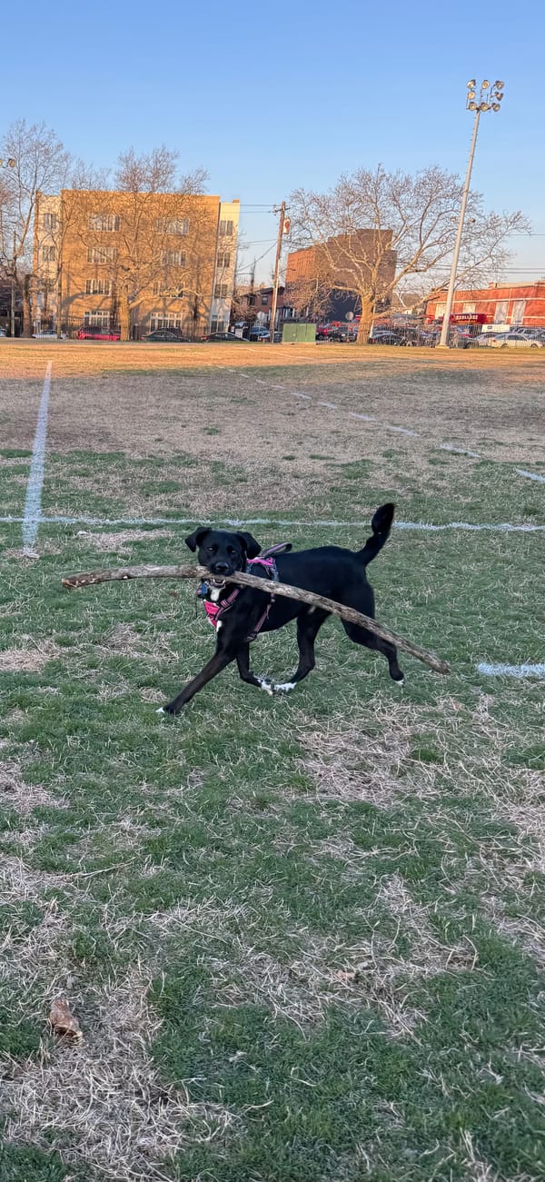 Arsenal Man City Poorly Drawn