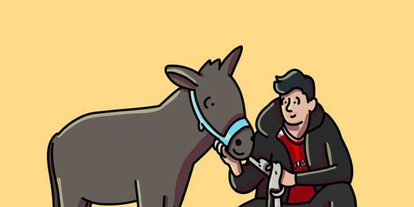 How much will Kai Havertz's love for donkeys help him at Arsenal?