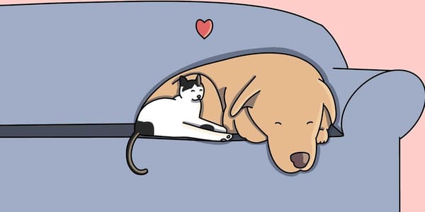 A pause on Poorly Drawn Arsenal